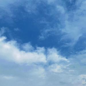 娜美隐私㊙️黄www网站
