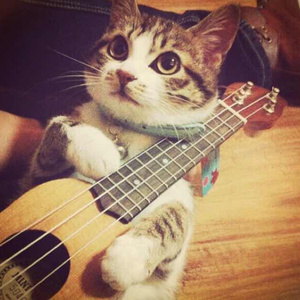 娜美隐私㊙️黄www网站
